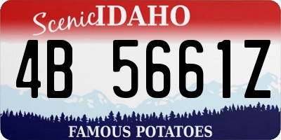 ID license plate 4B5661Z