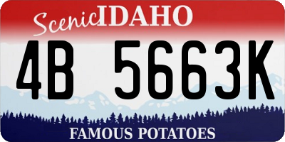 ID license plate 4B5663K
