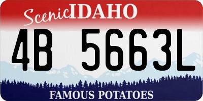 ID license plate 4B5663L
