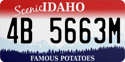 ID license plate 4B5663M
