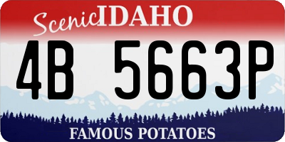 ID license plate 4B5663P