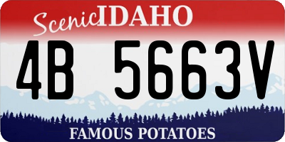 ID license plate 4B5663V