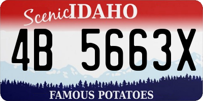 ID license plate 4B5663X