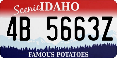 ID license plate 4B5663Z