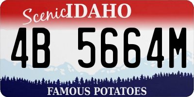 ID license plate 4B5664M