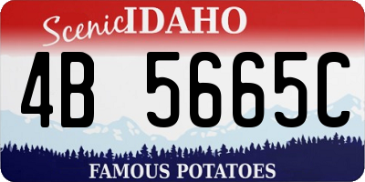 ID license plate 4B5665C