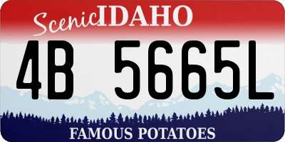 ID license plate 4B5665L