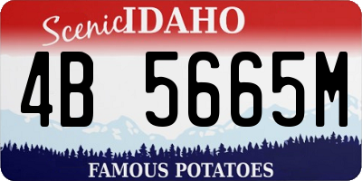 ID license plate 4B5665M