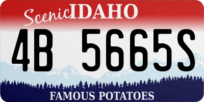 ID license plate 4B5665S