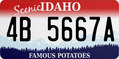 ID license plate 4B5667A