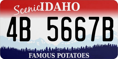 ID license plate 4B5667B