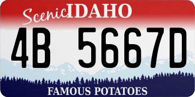 ID license plate 4B5667D