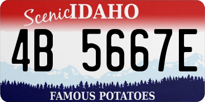 ID license plate 4B5667E