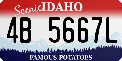 ID license plate 4B5667L