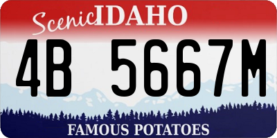 ID license plate 4B5667M
