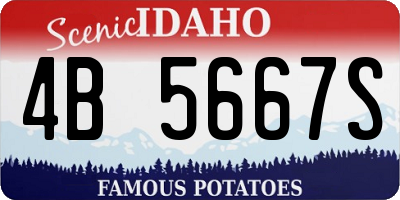 ID license plate 4B5667S