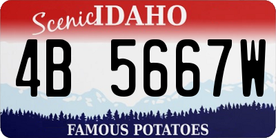 ID license plate 4B5667W