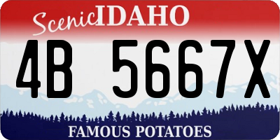 ID license plate 4B5667X