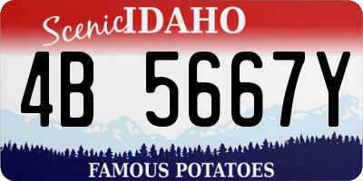 ID license plate 4B5667Y