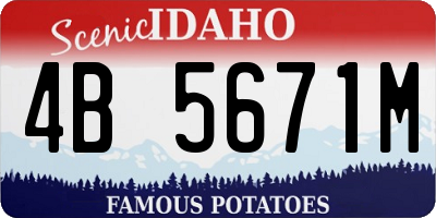 ID license plate 4B5671M