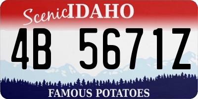 ID license plate 4B5671Z