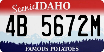 ID license plate 4B5672M