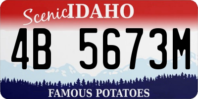 ID license plate 4B5673M