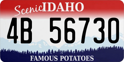 ID license plate 4B5673O