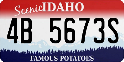 ID license plate 4B5673S
