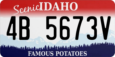 ID license plate 4B5673V