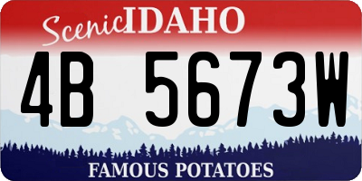 ID license plate 4B5673W