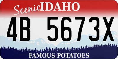 ID license plate 4B5673X
