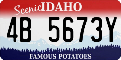 ID license plate 4B5673Y