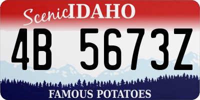 ID license plate 4B5673Z