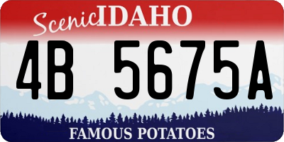 ID license plate 4B5675A