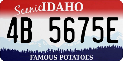 ID license plate 4B5675E