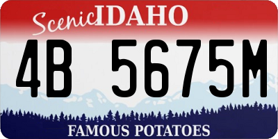 ID license plate 4B5675M