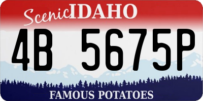 ID license plate 4B5675P