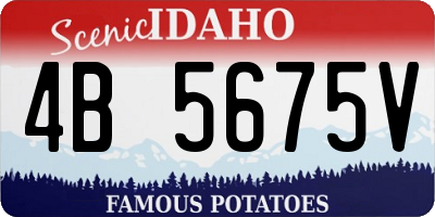 ID license plate 4B5675V