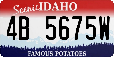 ID license plate 4B5675W