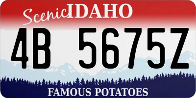 ID license plate 4B5675Z