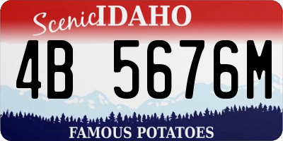 ID license plate 4B5676M