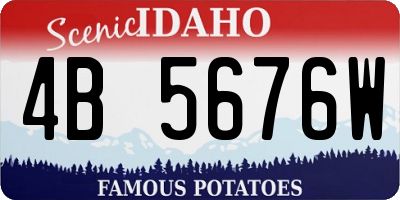 ID license plate 4B5676W