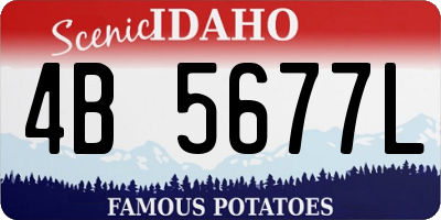ID license plate 4B5677L