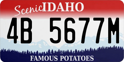 ID license plate 4B5677M