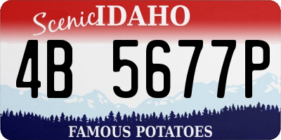 ID license plate 4B5677P