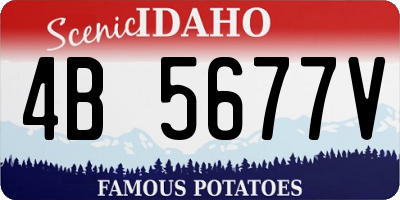 ID license plate 4B5677V