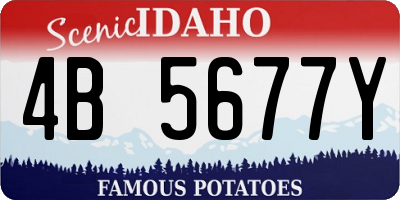 ID license plate 4B5677Y