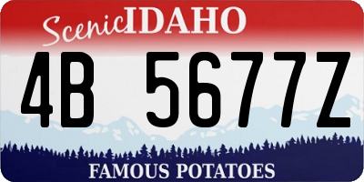 ID license plate 4B5677Z