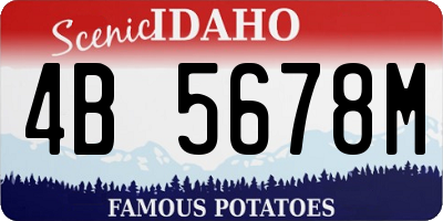 ID license plate 4B5678M